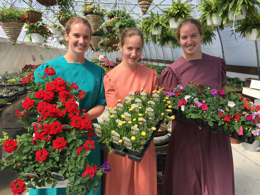 7 Sisters Greenhouse moves to La Monte Sedalia Democrat